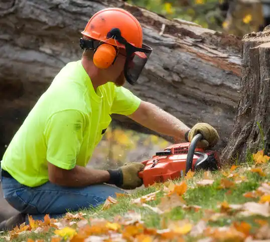 tree services Bellmore